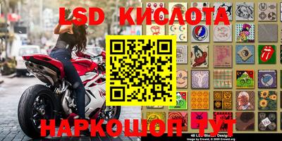 ГАЛЛЮЦИНОГЕННЫЕ ГРИБЫ Новозыбков
