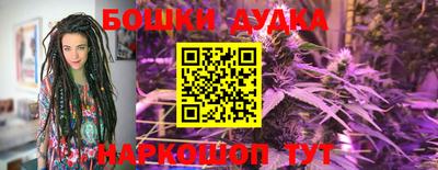 ГАЛЛЮЦИНОГЕННЫЕ ГРИБЫ Новозыбков