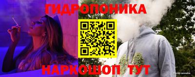 ГАЛЛЮЦИНОГЕННЫЕ ГРИБЫ Новозыбков