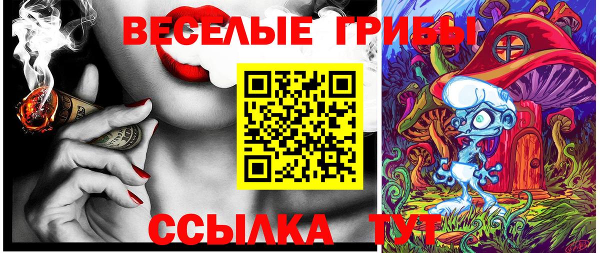 Галлюциногенные грибы Psilocybine cubensis  купить наркотик  Сланцы  Вход с VPN 