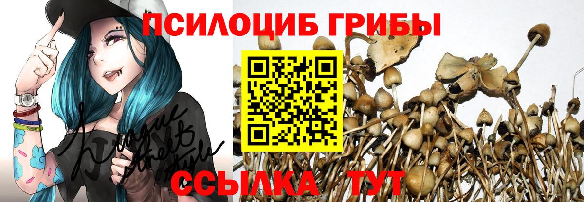 Галлюциногенные грибы MAGIC MUSHROOMS Сланцы